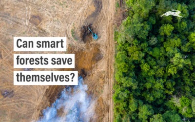 Can smart forests save themselves?