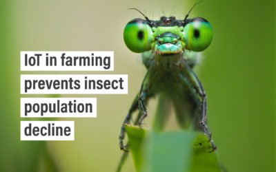IoT in farming prevents insect population decline