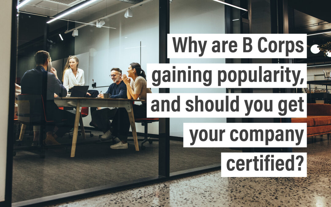 Why are B Corps gaining popularity, and should you get your company certified?