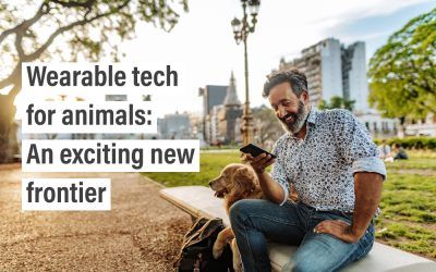 Wearable tech for animals: An exciting new frontier
