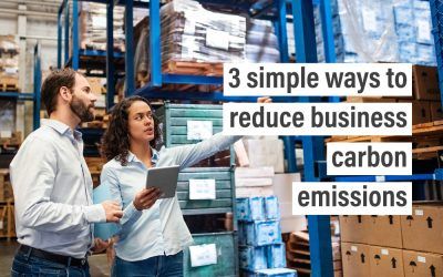 3 simple ways to reduce business carbon emissions
