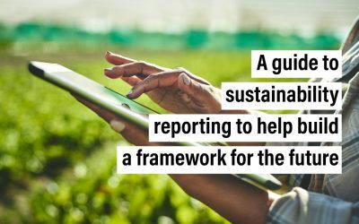 A guide to sustainability reporting to help build a framework for the future