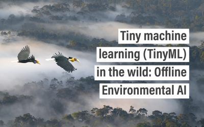 Tiny machine learning (TinyML) in the wild: Offline Environmental AI