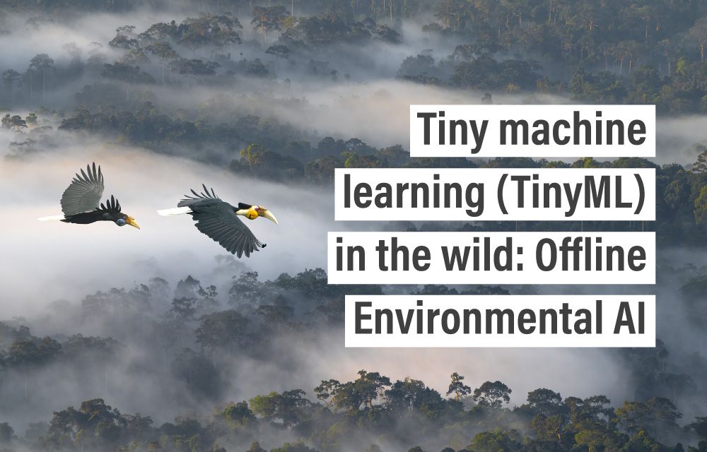 Tiny machine learning (TinyML) in the wild: Offline Environmental AI
